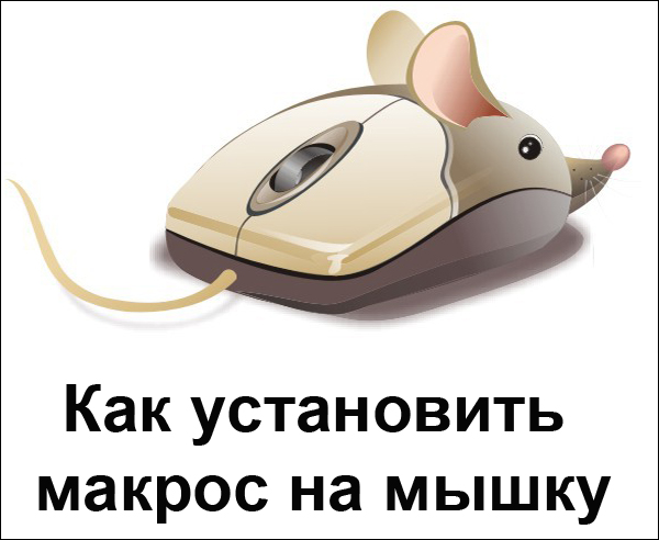 Установка макроса на мышку