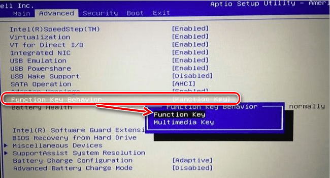 rezhim funktsionalnyih klavish v Dell BIOS