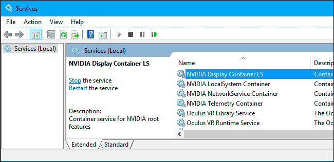 NVIDIA Display Container LS