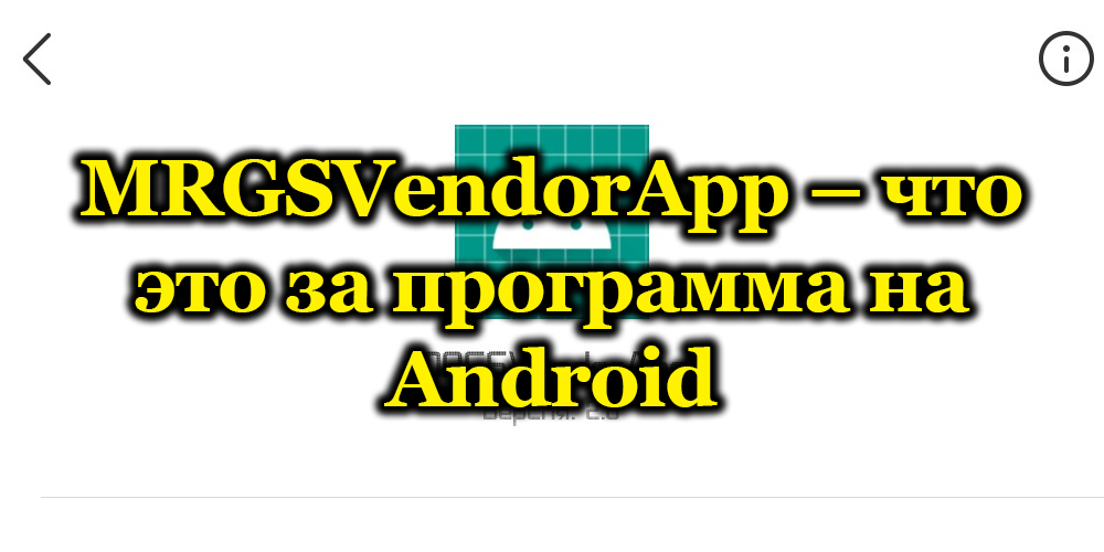 MRGSVendorApp – что это за программа на Android