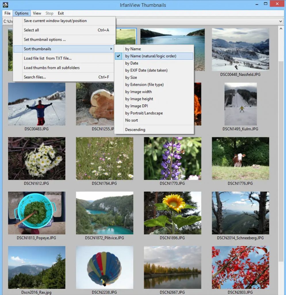 Фотоальбом программа для создания базы фотографий на компьютере