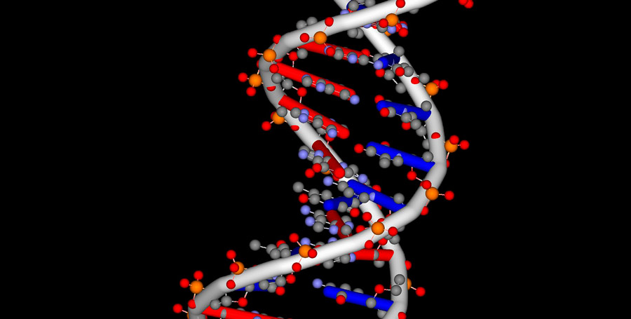 Моделирование молекул ДНК