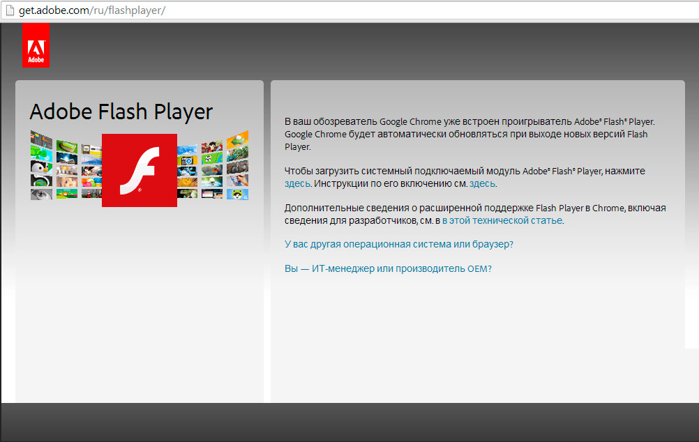 Как установить flash player на тор браузер даркнетruzxpnew4af adobe для blacksprut даркнет