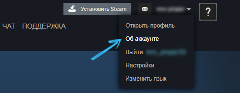 «Об аккаунте» в Steam