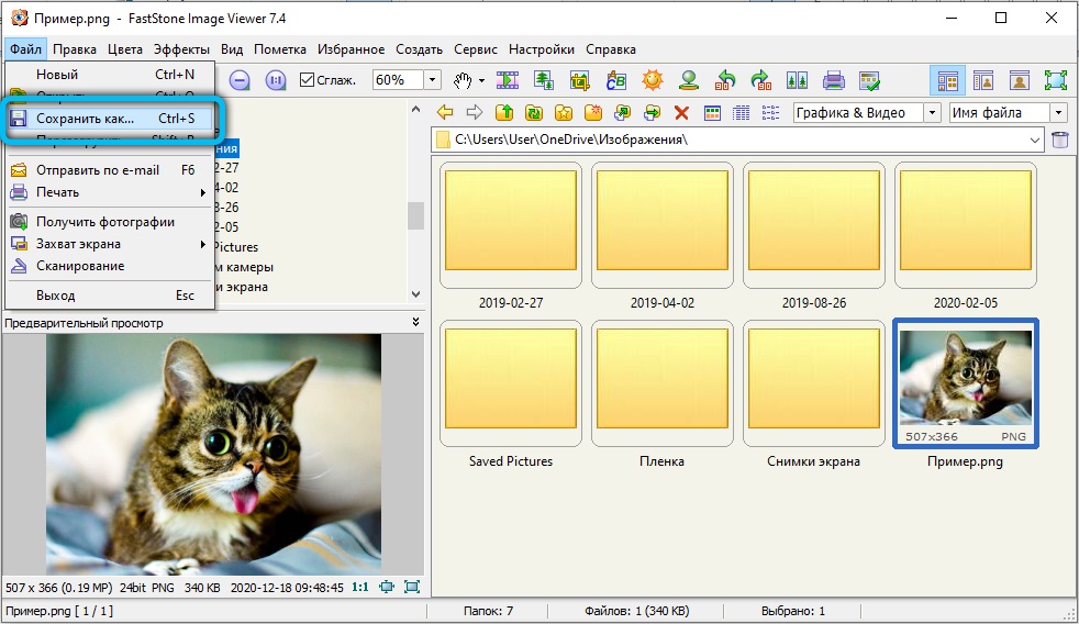 Начало конвертирования файла в FastStone Image Viewer