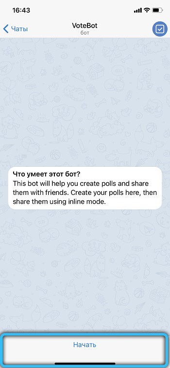 Запуск бота Votebot