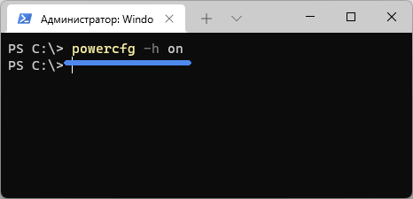 Команда powercfg -h on в Windows 11