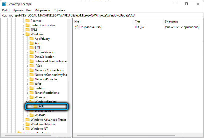 Раздел «AU» в папке «WindowsUpdate» в реестре Windows 11