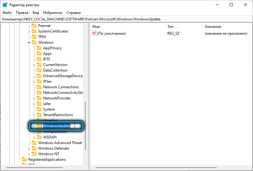 Раздел «WindowsUpdate» в папке Windows в реестре Windows 11