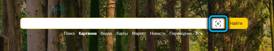 Иконка с изображением фотоаппарата в Яндекс.Картинках