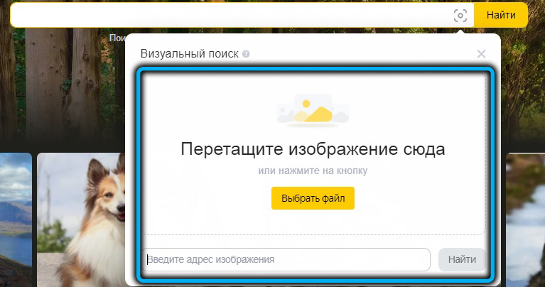 Поиск по изображению в Яндекс.Картинках