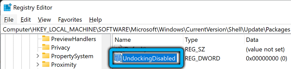 UndockingDisabled в папке Packages в Windows 11