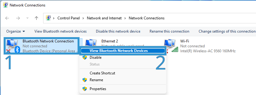 Bluetooth Network Connection