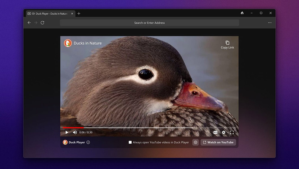 DuckDuckGo для OC Windows